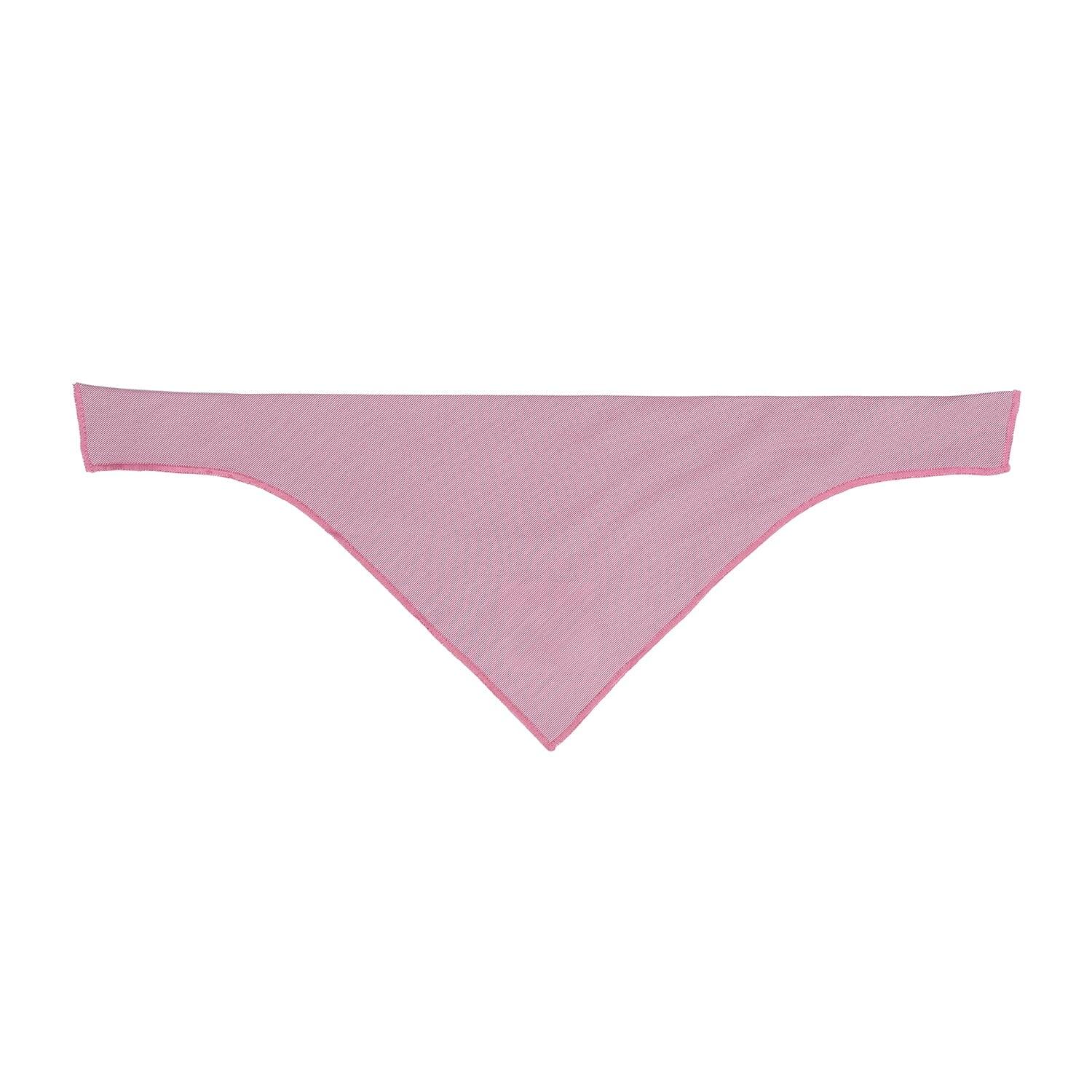 Pet Bandana Tag&Crew Pink Small Stripe Small Pack of 3