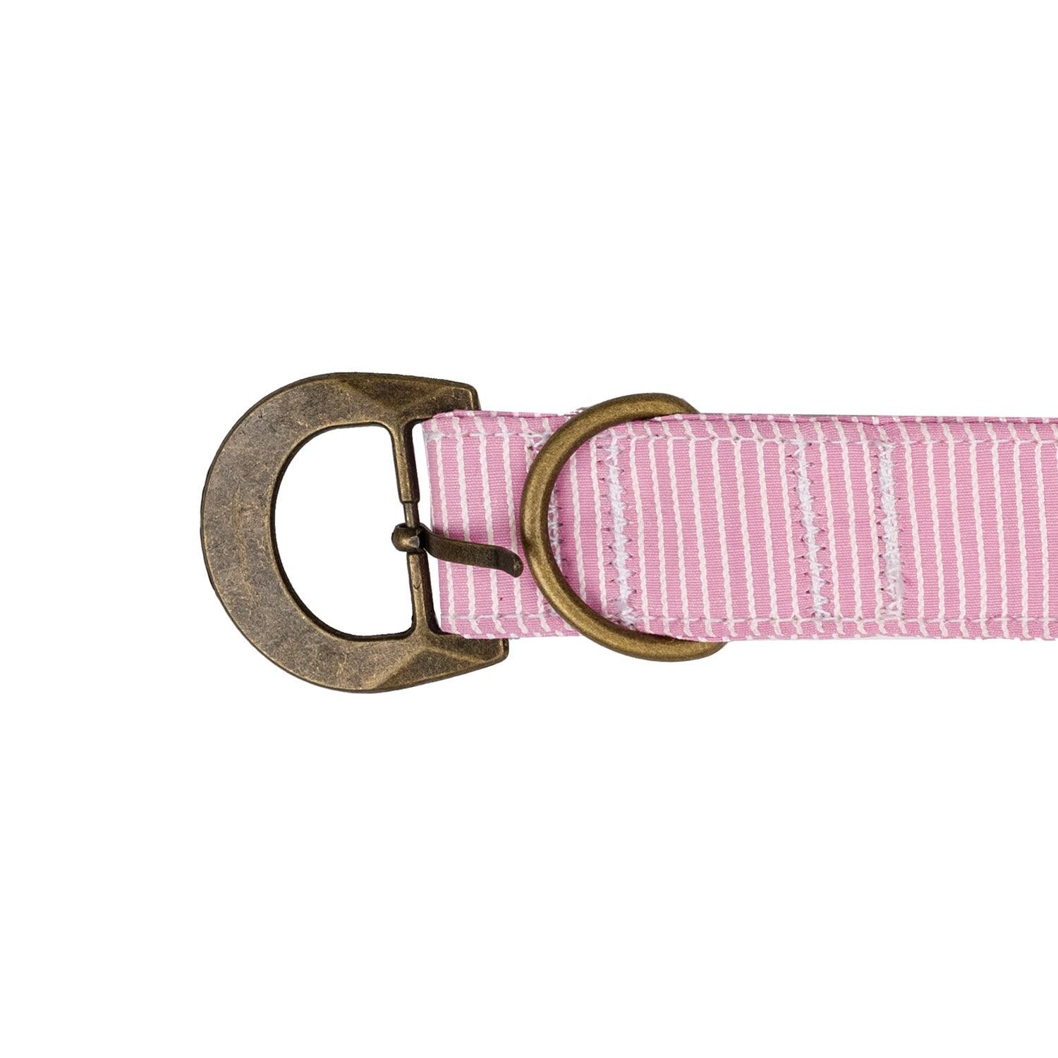 Buckle Dog Collar Accessories Tag&Crew