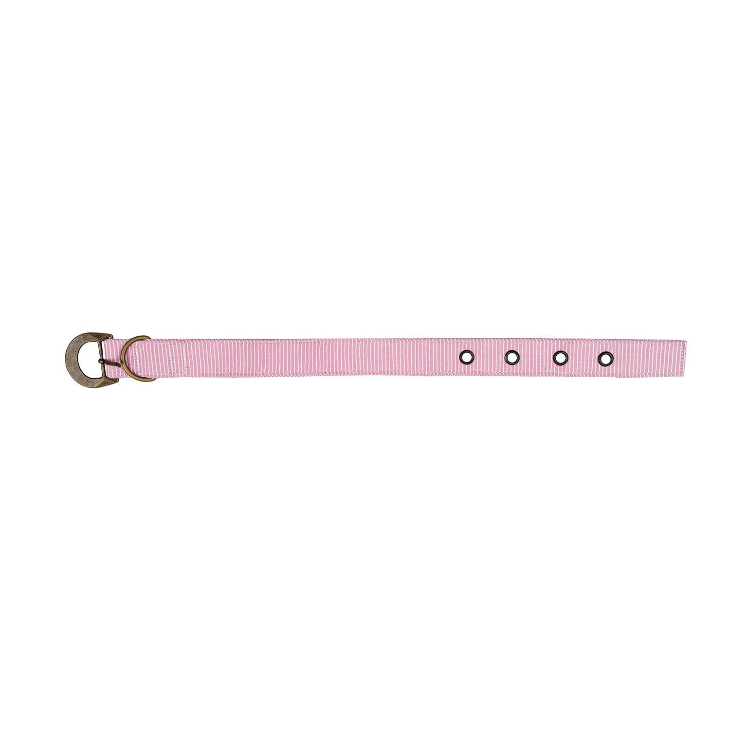 Buckle Dog Collar Accessories Tag&Crew Pink Stripe Small