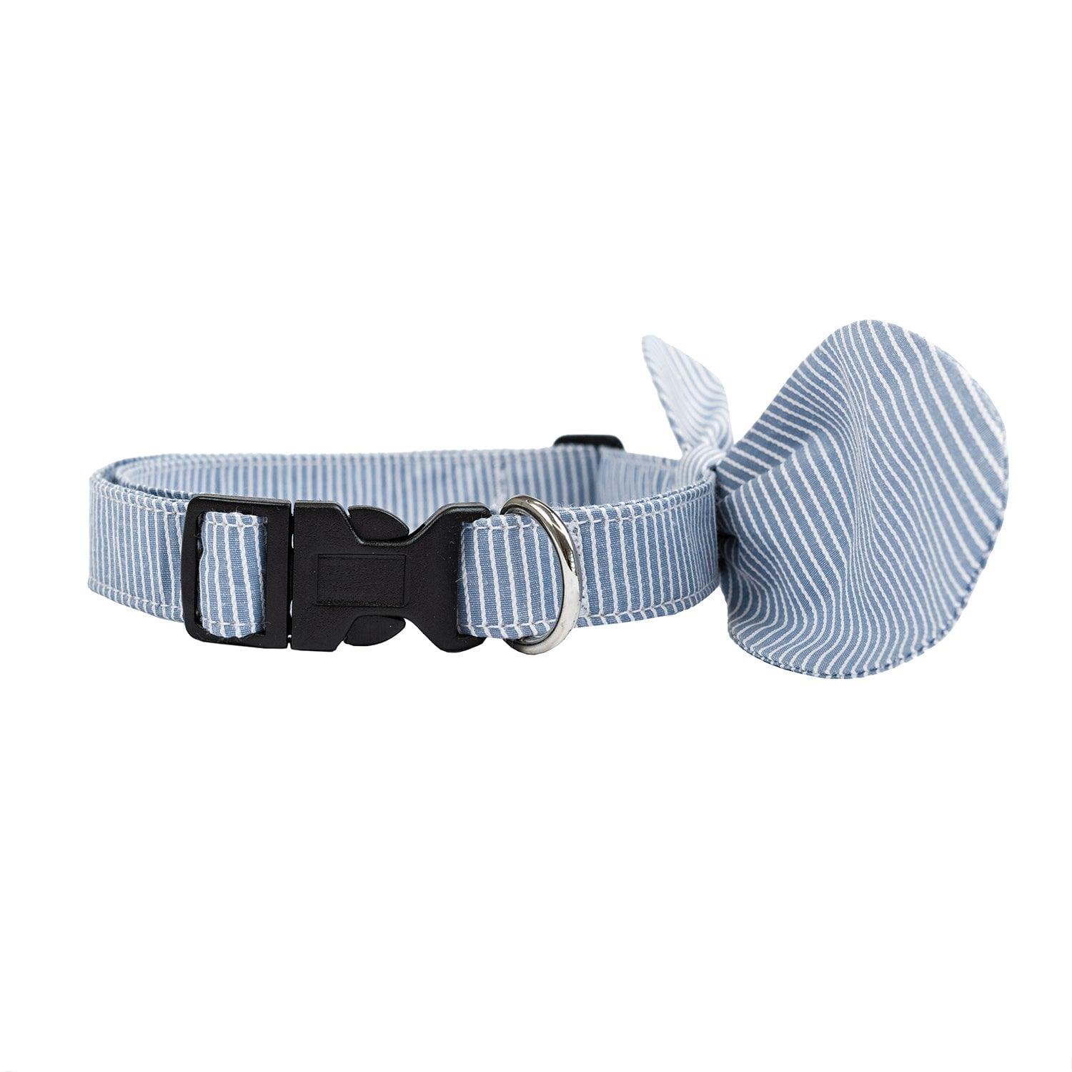 Snap-On Dog Collar Tag&Crew