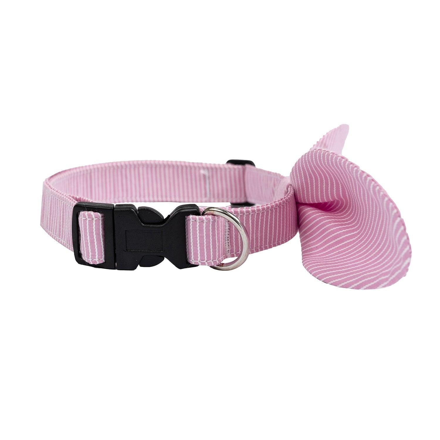 Snap-On Dog Collar Tag&Crew