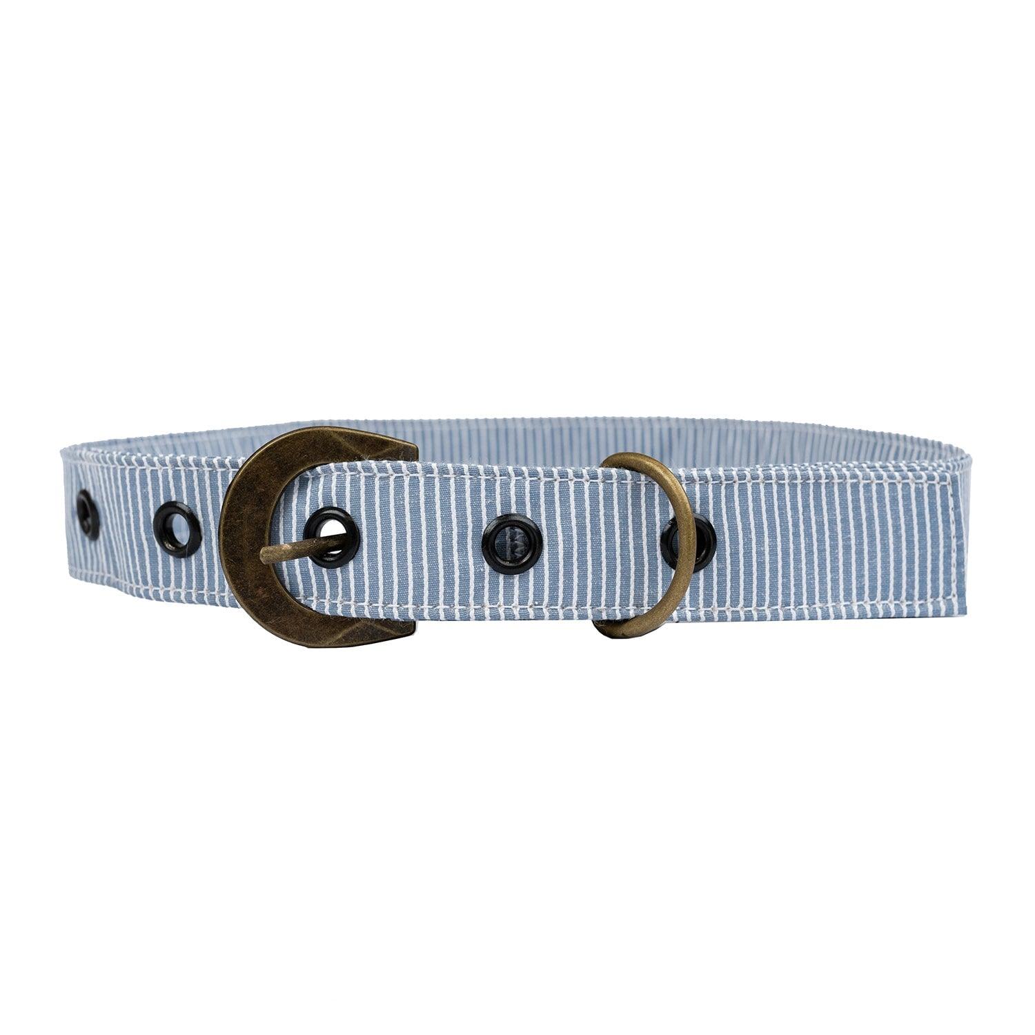Buckle Dog Collar Accessories Tag&Crew Blue Stripe 