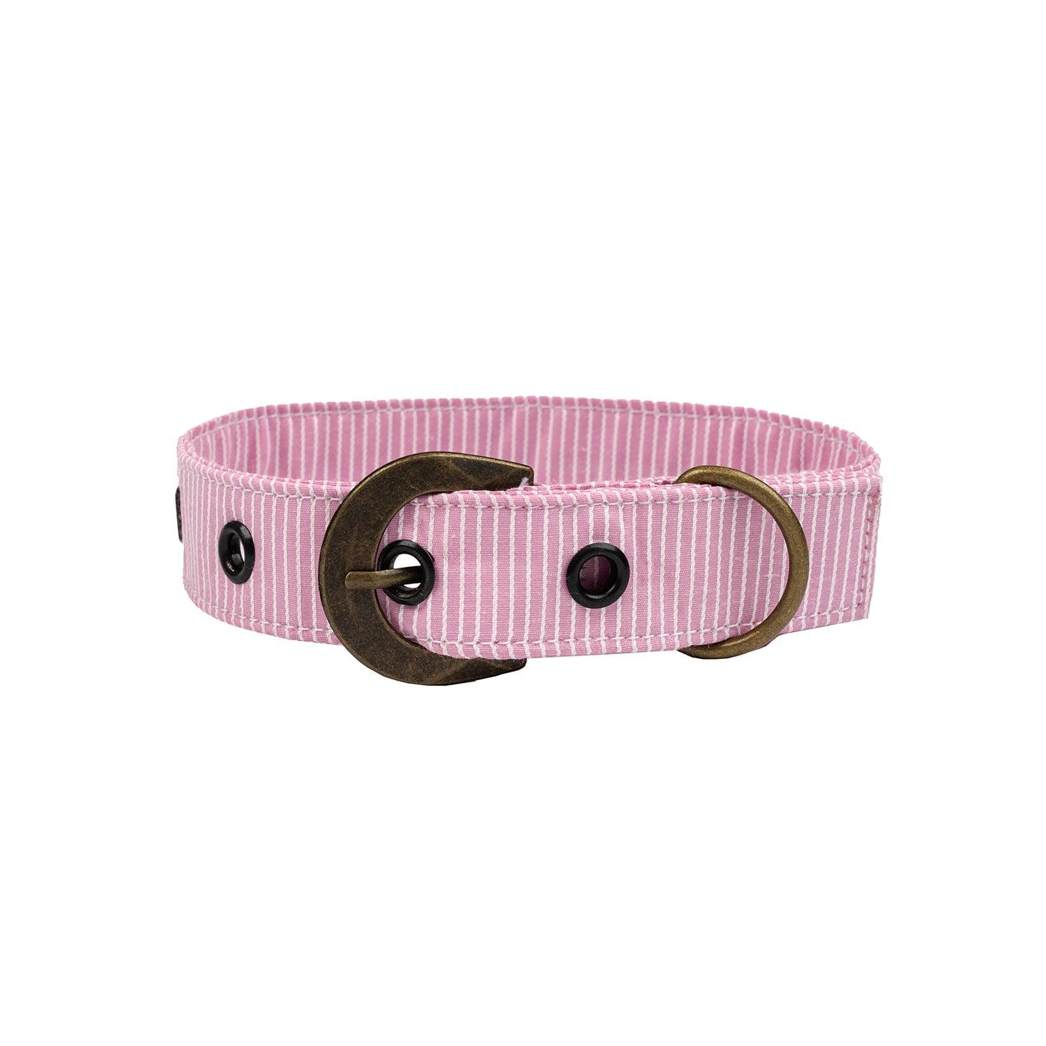 Buckle Dog Collar Accessories Tag&Crew Pink Stripe 