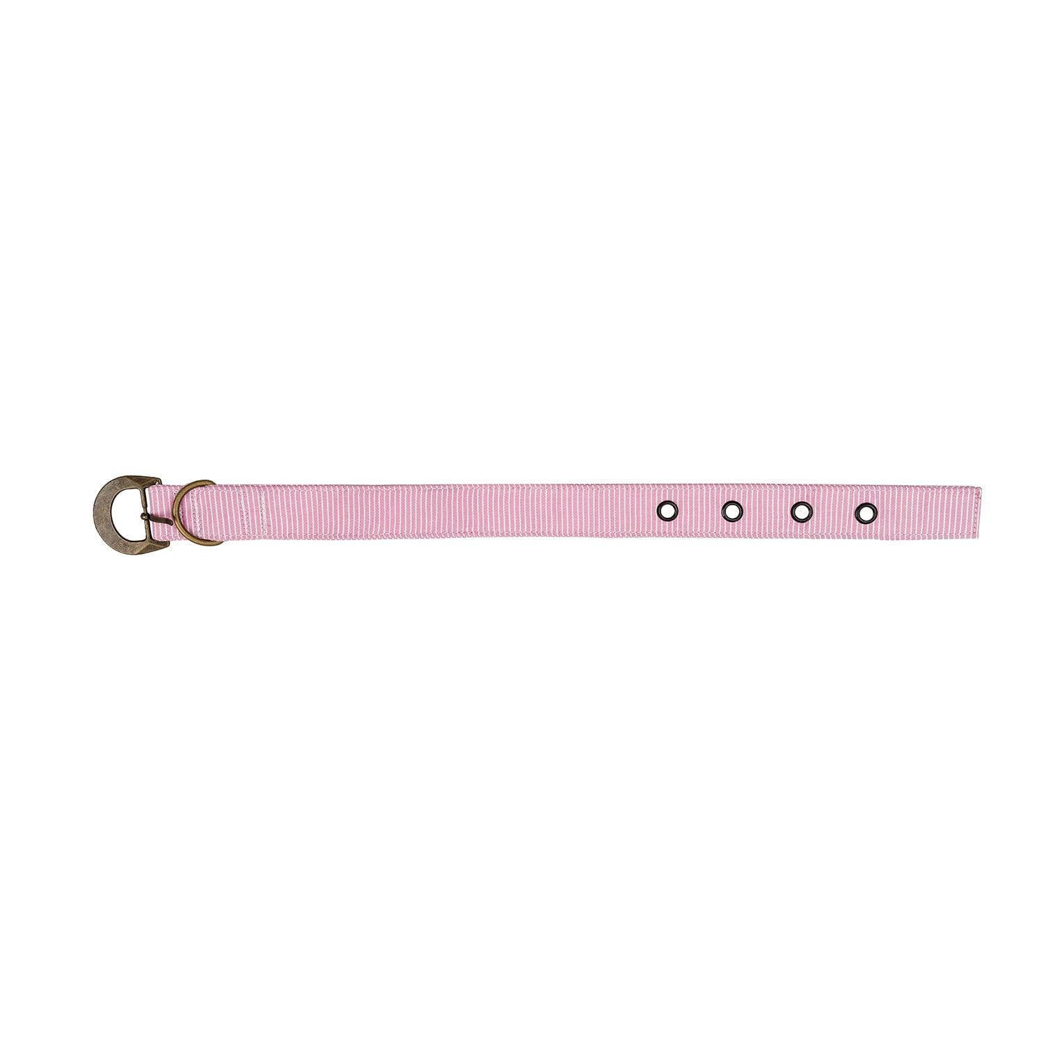 Buckle Dog Collar Accessories Tag&Crew Pink Stripe Small 