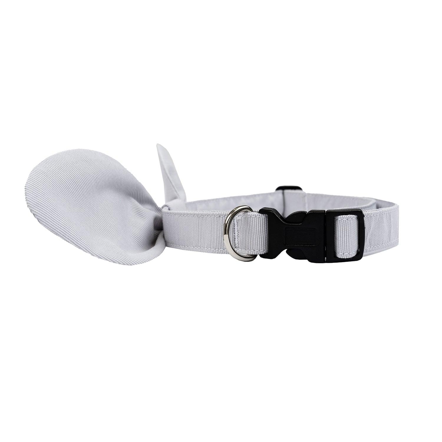 Buckle Dog Collar Accessories Tag&Crew 