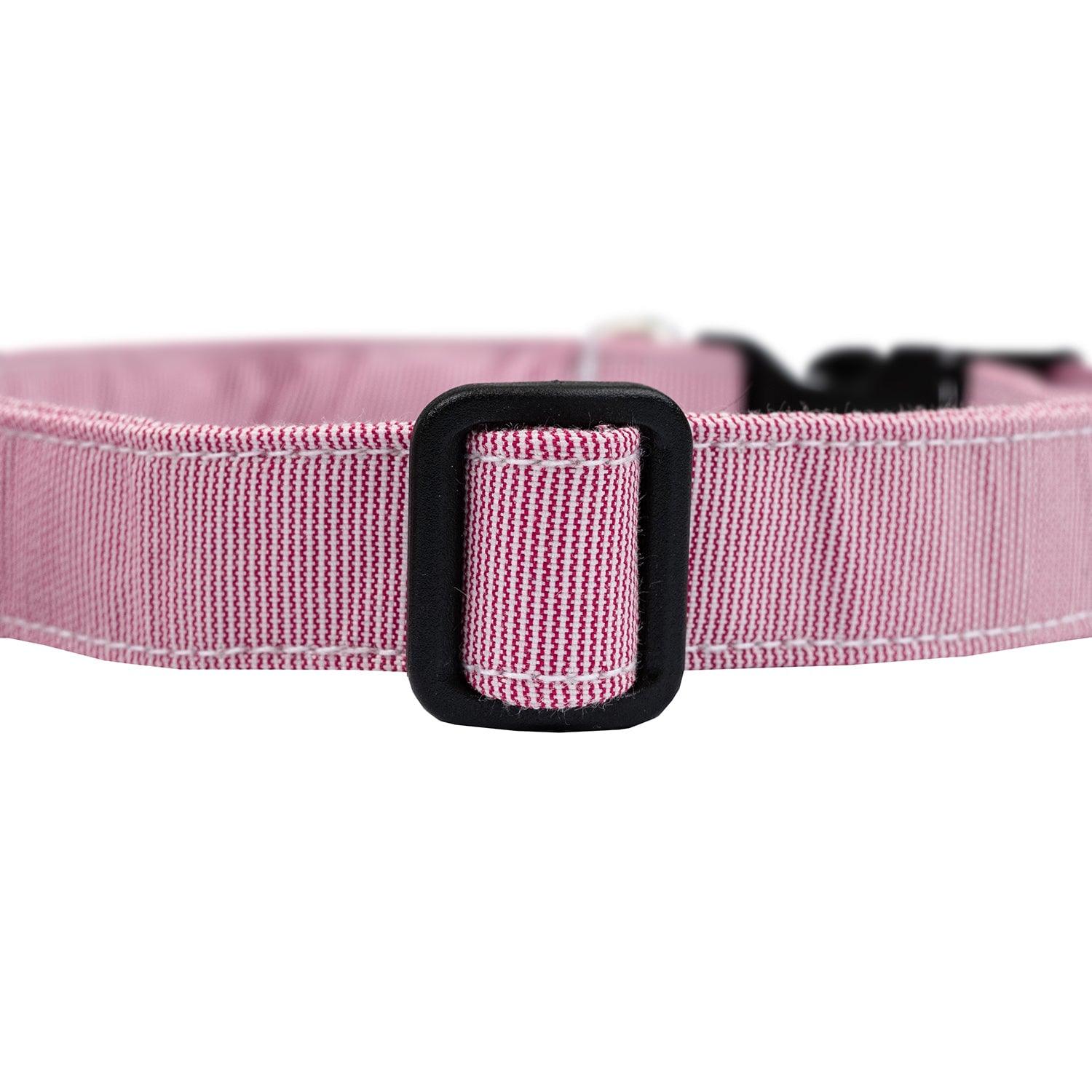 Snap-On Dog Collar Tag&Crew 