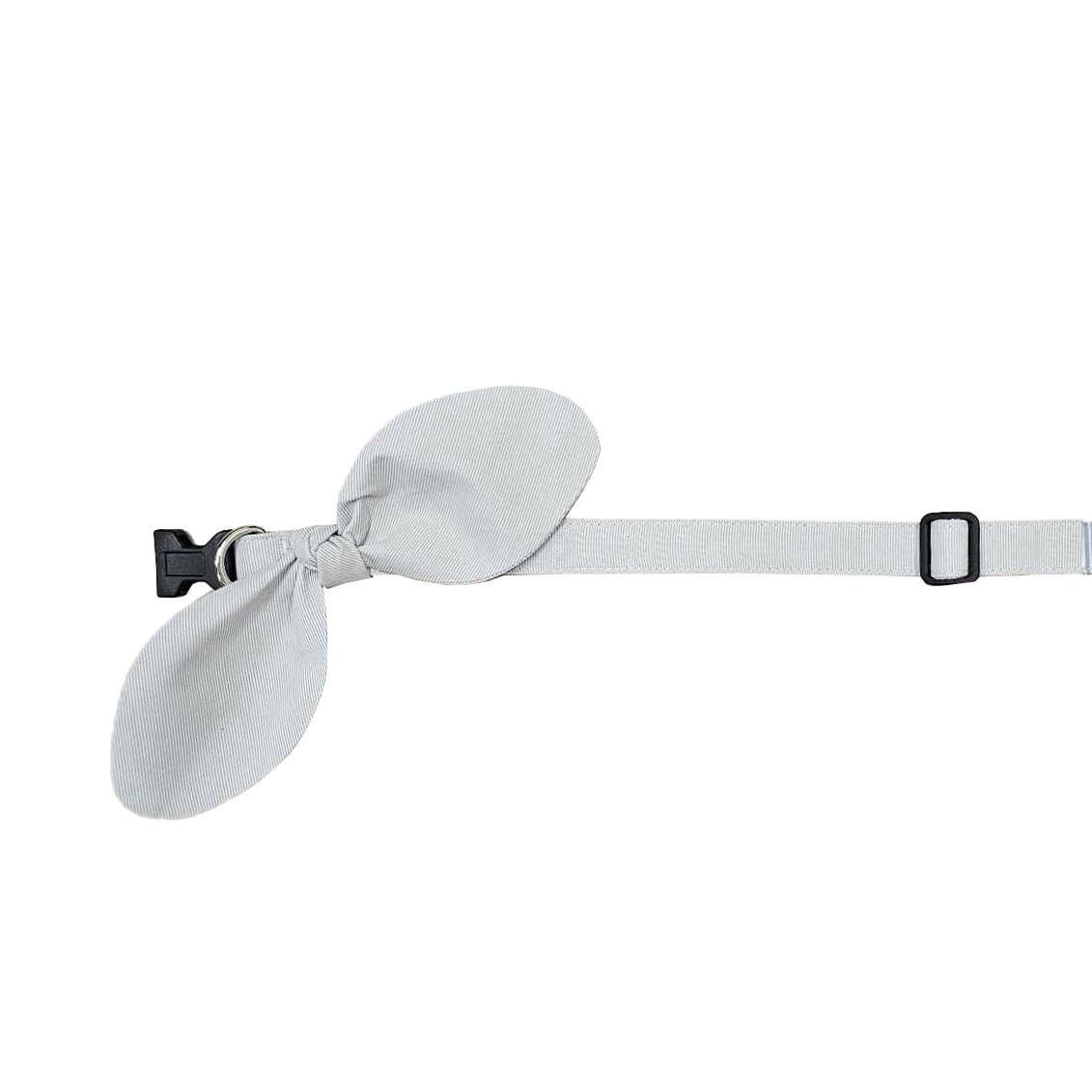 Snap-On Dog Collar Tag&Crew Gray Small Stripe Small 